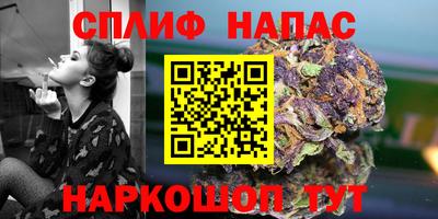 PSILOCYBIN Апшеронск