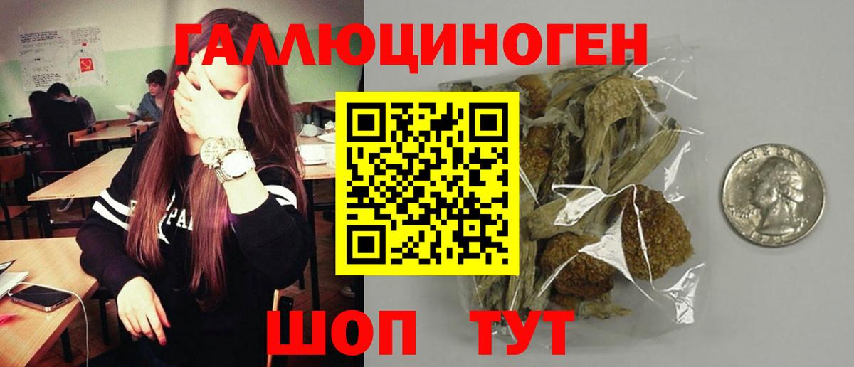 Верхняя Пышма  Галлюциногенные грибы прущие грибы  Вход с VPN 
